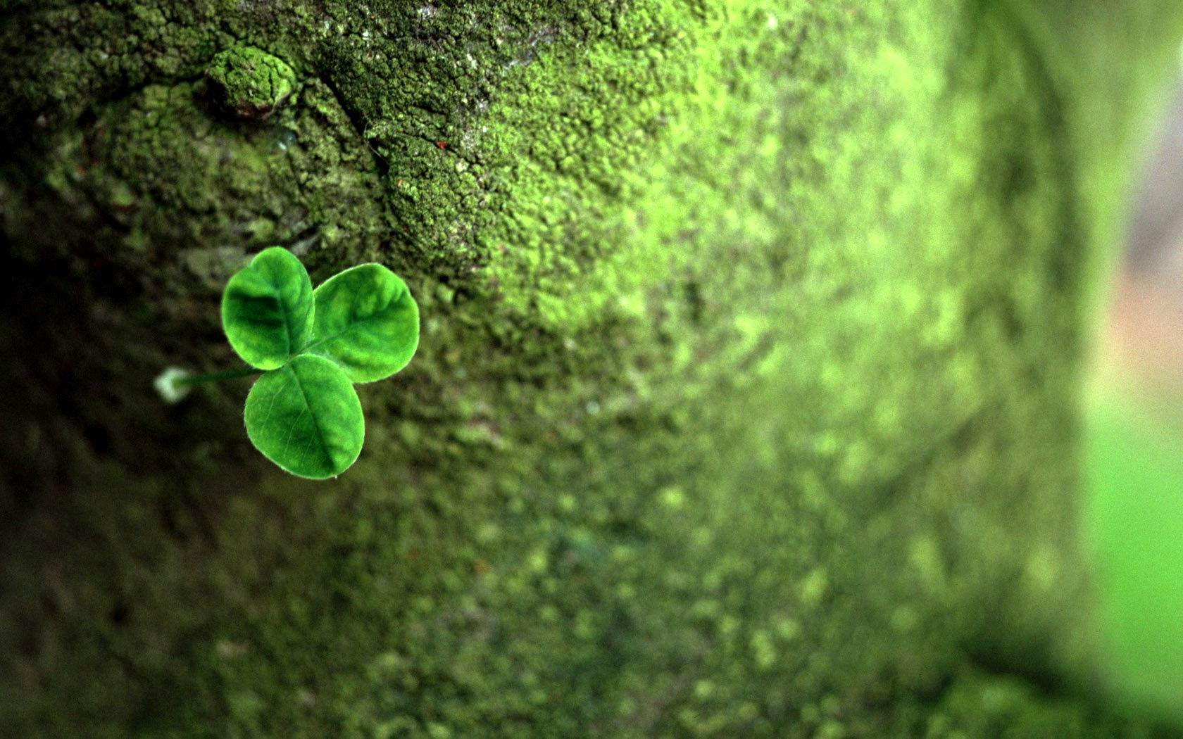 banner bg